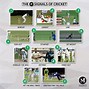 Image result for Diagram of Cricket Pitch
