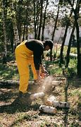 Image result for Chainsaw Cutting Wood