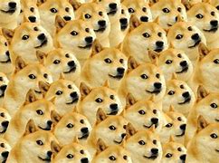 Image result for Dog Meme Computer Wallpaper