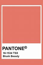 Image result for Pantone 776 Blush