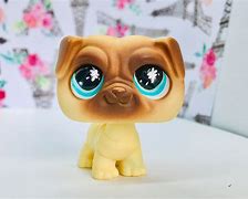 Image result for Littlest Pet Shop Pug