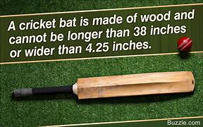 Image result for Equipment Used in Cricket