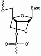 Image result for Locked Nucleic Acid