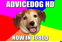 Image result for Advice Dog Meme