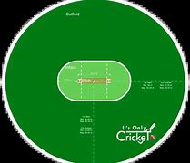 Image result for Box Cricket Pitch