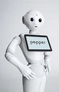 Image result for Robot Pepper Mill