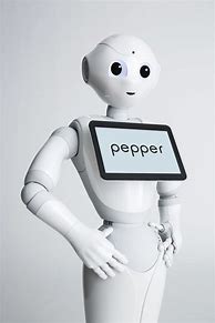 Image result for City Robot Pepper