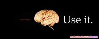 Image result for Use Your Brain Cover