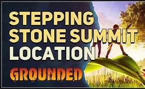 Image result for Stepping Stone Summit