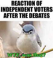 Image result for Independent Voter Meme