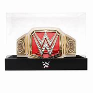 Image result for WWE Title Display Case