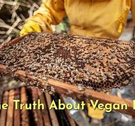 Image result for Can Vegans Eat Honey