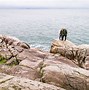 Image result for Lighthouse Park