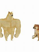 Image result for Doge Gym Memes