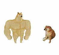 Image result for Doge Meme Template HD with Phone