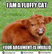 Image result for Cow Wening Meme