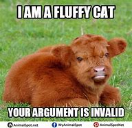 Image result for Cow COO Meme