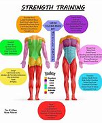 Image result for Leg Muscle Groups