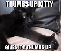 Image result for Funny Thumbs Up Cat Meme