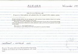 Image result for acroyera