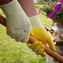 Image result for Cheap Garden Gloves