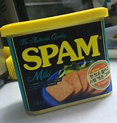Image result for Flavored Spam
