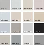 Image result for Pebble Paint Color
