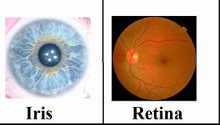 Image result for Retina vs Iris Scan