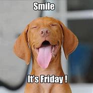 Image result for Be Happy Its Friday Humor