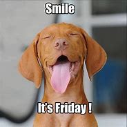 Image result for Happy Friday Cute Meme
