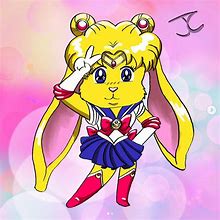 Image result for Sailor Moon Bunny Suit