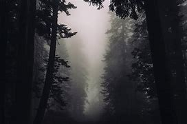 Image result for Dark Gothic Forest Art