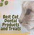 Image result for Cat Dental Chews
