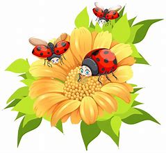 Image result for Ladybug Flower Clip Art