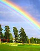 Image result for Beautiful Bright Rainbow Colors