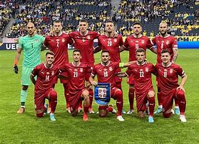 Image result for Fudbalska Reprezentacija Srbije