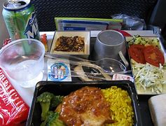 Image result for Kosher Airline Meal