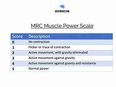 Image result for Power Scale Initial Setup