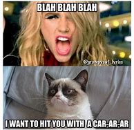 Image result for Funny Cat Memes Grumpy Cat