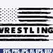 Image result for USA Wrestling SVG