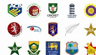 Image result for Cricket 07 Game