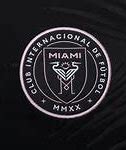 Image result for Inter Miami FC Logo