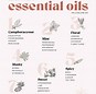 Image result for Mixing Fragrance Oils for Perfume
