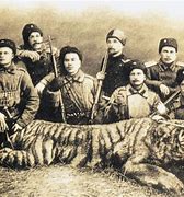Image result for Attack Tiger Hunting Man