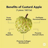 Image result for Custard Apple Nutrition