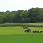 Image result for Small Village Farms
