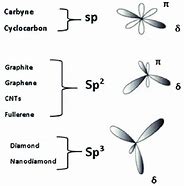 Image result for Sp3 Hybridized Carbon Atoms