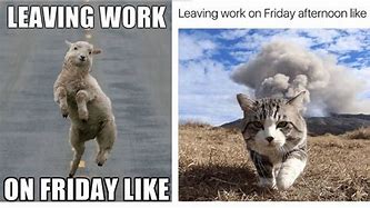 Image result for Friday Co-Worker Meme