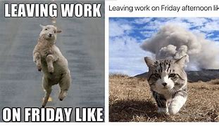 Image result for Friday Work Day Meme