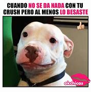 Image result for Memes De Perros En Espanol